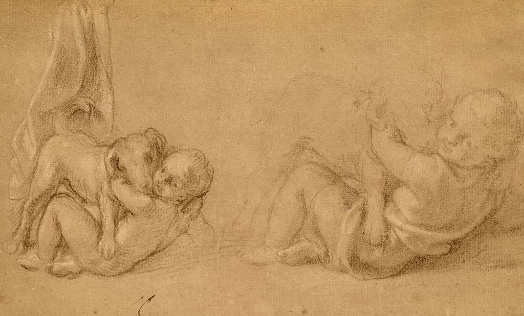 Studio di un bambino con un cane - Louvre, Parigi